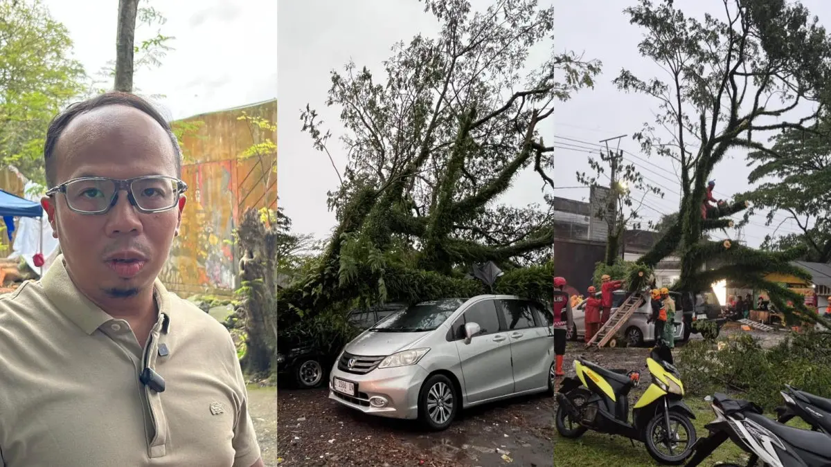 cuaca ekstrem Kota Tasikmalaya pohon tumbang