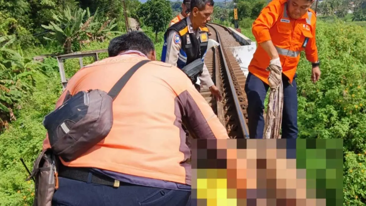 Diduga Pikun, Lansia Tewas Tersambar Kereta Api Argo Wilis di Perlintasan Garut Lansia tertabrak kereta api di Garut