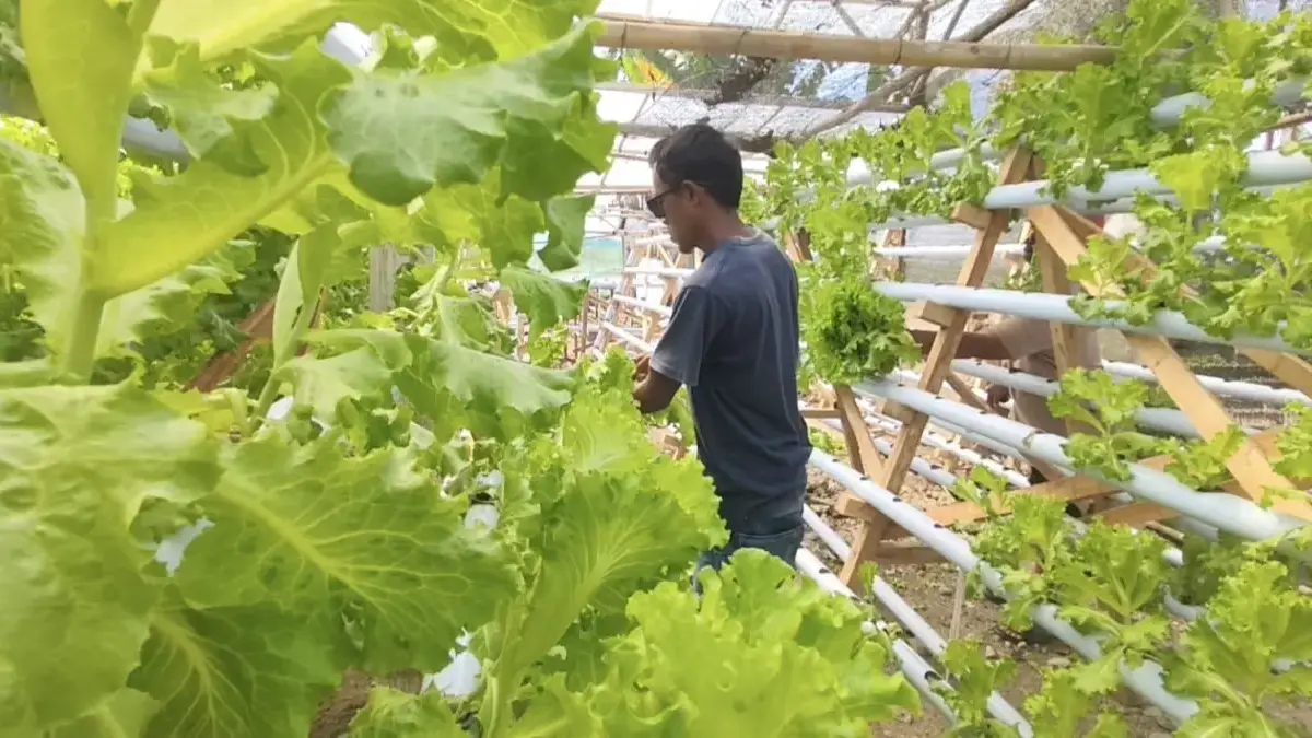 Sayur MBg Pangandaran