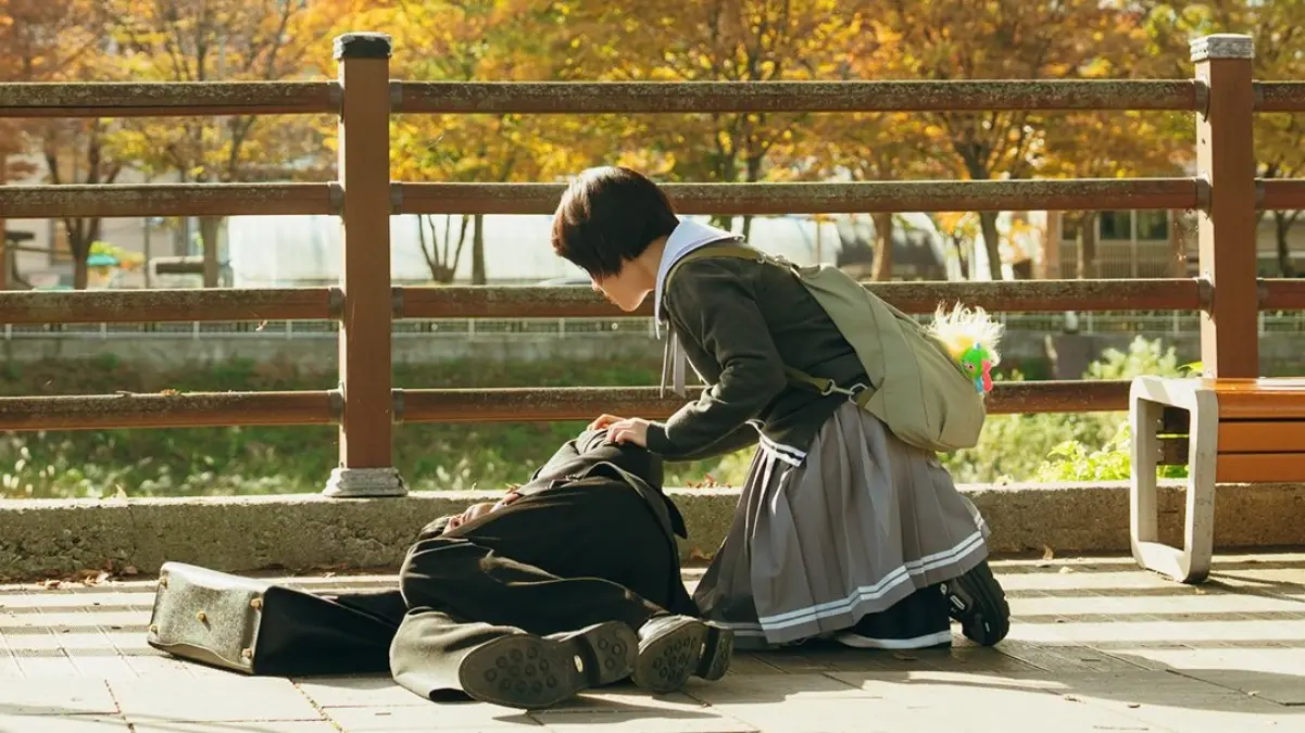 Absolute Value of Romance