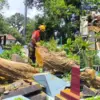 makam rusak tertimpa pohon di Kota Tasikmalaya
