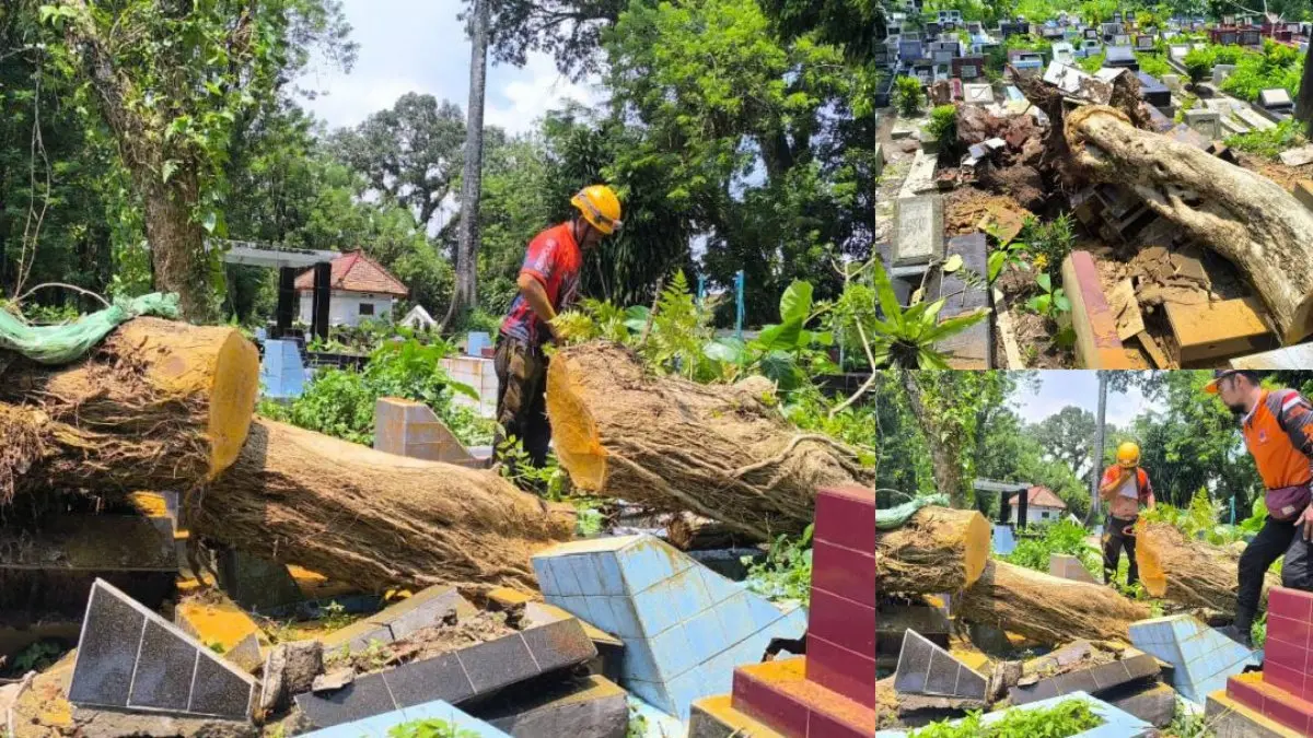 makam rusak tertimpa pohon di Kota Tasikmalaya