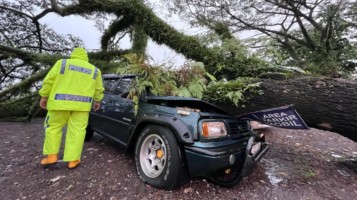 El Nino “Godzilla” 2026 Intai Kota Tasikmalaya, Produksi Pangan Terancam Anjlok dampak El Nino