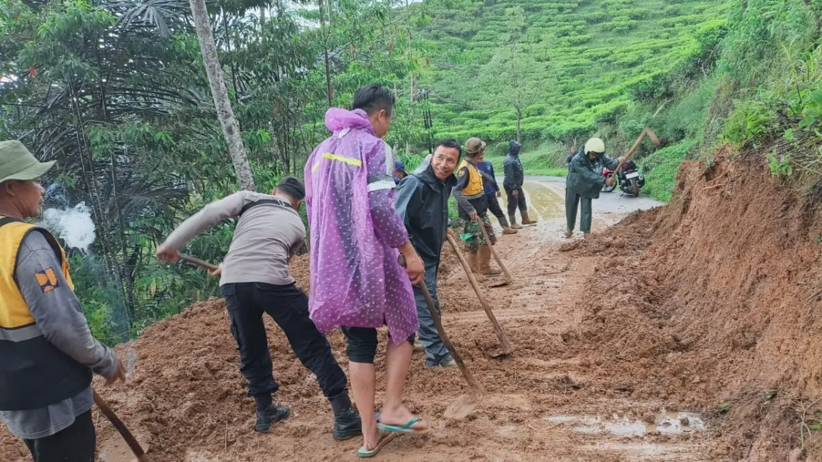 Kebun Teh Taraju Longsor