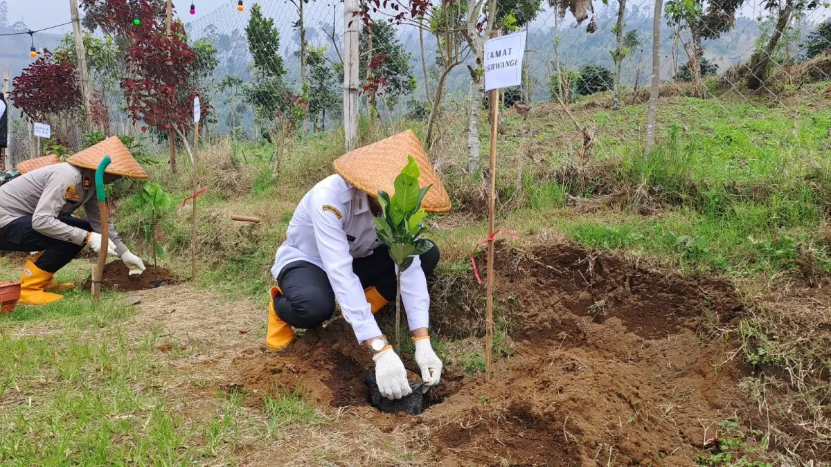 87.000 Hektare Lahan Kritis