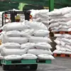 Harga Pupuk Subsidi Turun 20 Persen