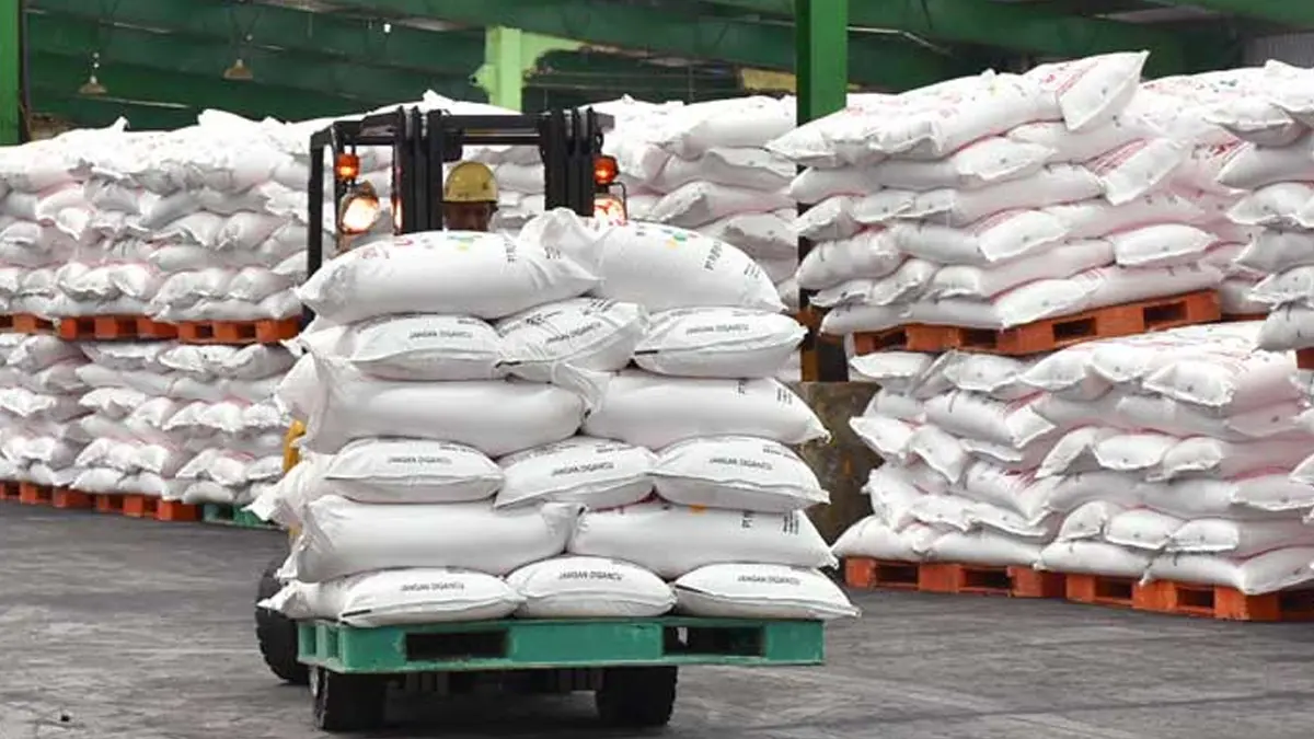 Harga Pupuk Subsidi Turun 20 Persen