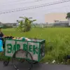 ancaman El Nino terhadap pertanian