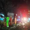 pohon tumbang di Jalan Gubernur Swaka