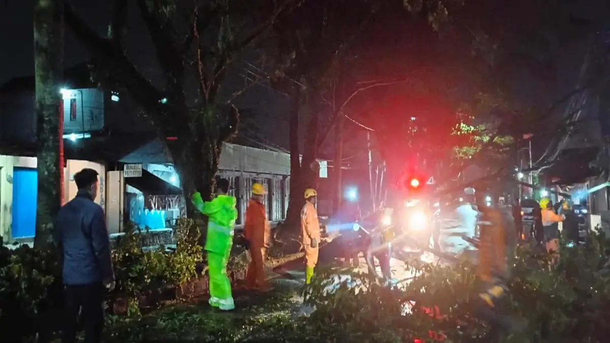 pohon tumbang di Jalan Gubernur Swaka