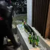 polisi sita puluhan botol miras di Tasikmalaya