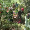 jenazah laki-laki ditemukan di Sungai Citanduy