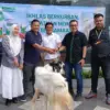 Kalbe Consumer Health Tasikmalaya salurkan hewan kurban