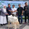 Komix Herbal berbagi kurban