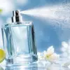 Parfum Wangi Segar