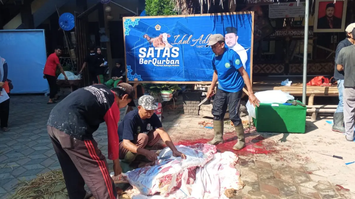 SMAN 1 Kota Tasikmalaya Sembelih 12 Ekor Sapi, Daging Kurban Disalurkan kepada Petugas Kebersihan Satas kurban