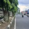 Trotoar kantor DPRD Kota Tasikmalaya, pohon di trotoar