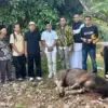 Dpd partai golkar