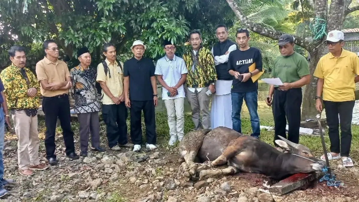 DPD Partai Golkar Kabupaten Tasikmalaya Sembelih 4 Sapi dan 6 Domba pada Iduladha 1447 Hijiriah Dpd partai golkar