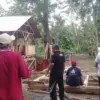 pengadaan domba program ketahanan pangan Desa Kujangsari