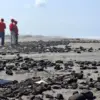 Pencemaran Batu bara pantai pangandaran
