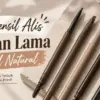Pensil Alis yang Bagus