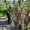 Jalan rusak di Pangandaran