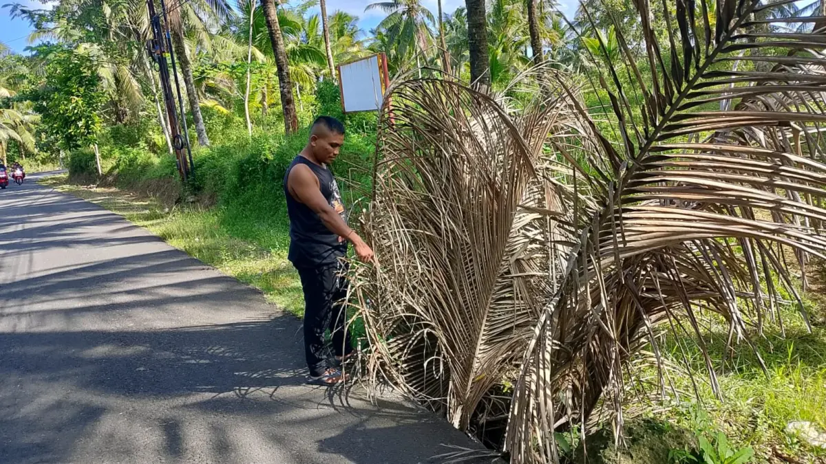 Bahu Jalan Pemukiman di Pangandaran Amblas, 2 Tahun Belum Ada Perbaikan Jalan rusak di Pangandaran