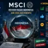 Review MSCI