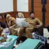 Penataan dadaha kota tasikmalaya
