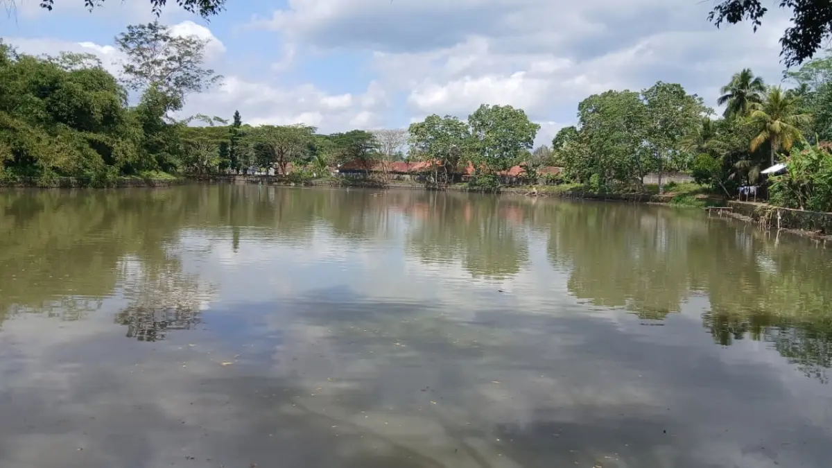 Situ Cibeureum Kota Tasikmalaya