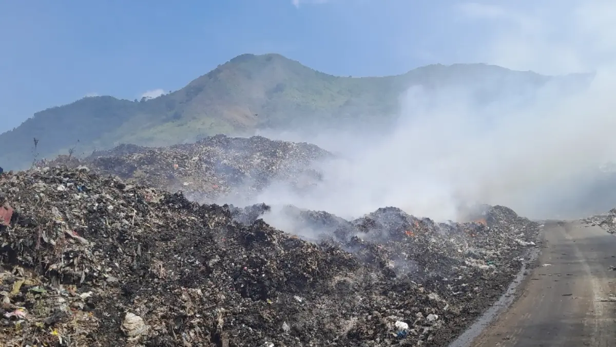 Jangan Anggap Sepele! Bakar Sisa Daun Dekat TPA Bisa Picu Kebakaran Hebat Kebakaran