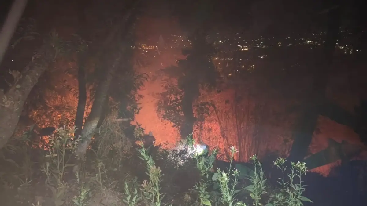 Kebakaran Lahan Terjadi di Garut, Tetap Waspada saat Kemarau Kebakaran lahan