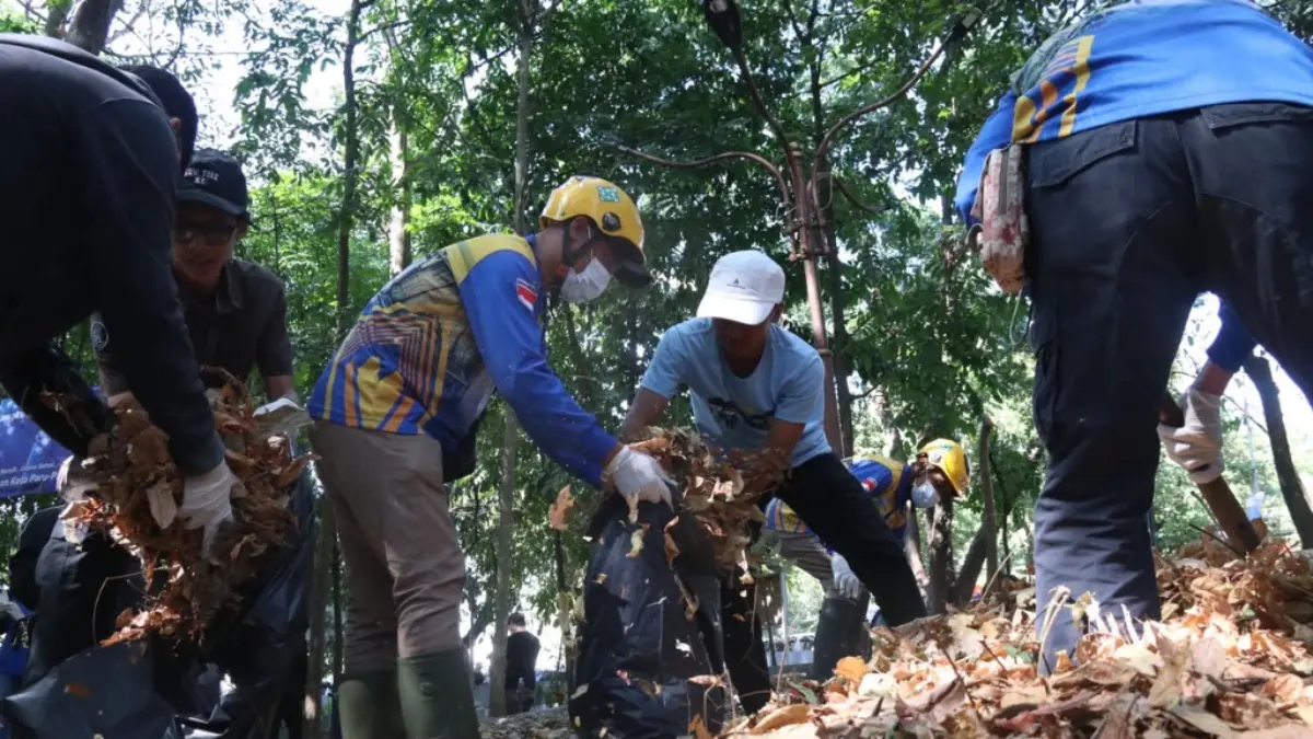 Bersih bersih
