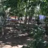 Taman kota