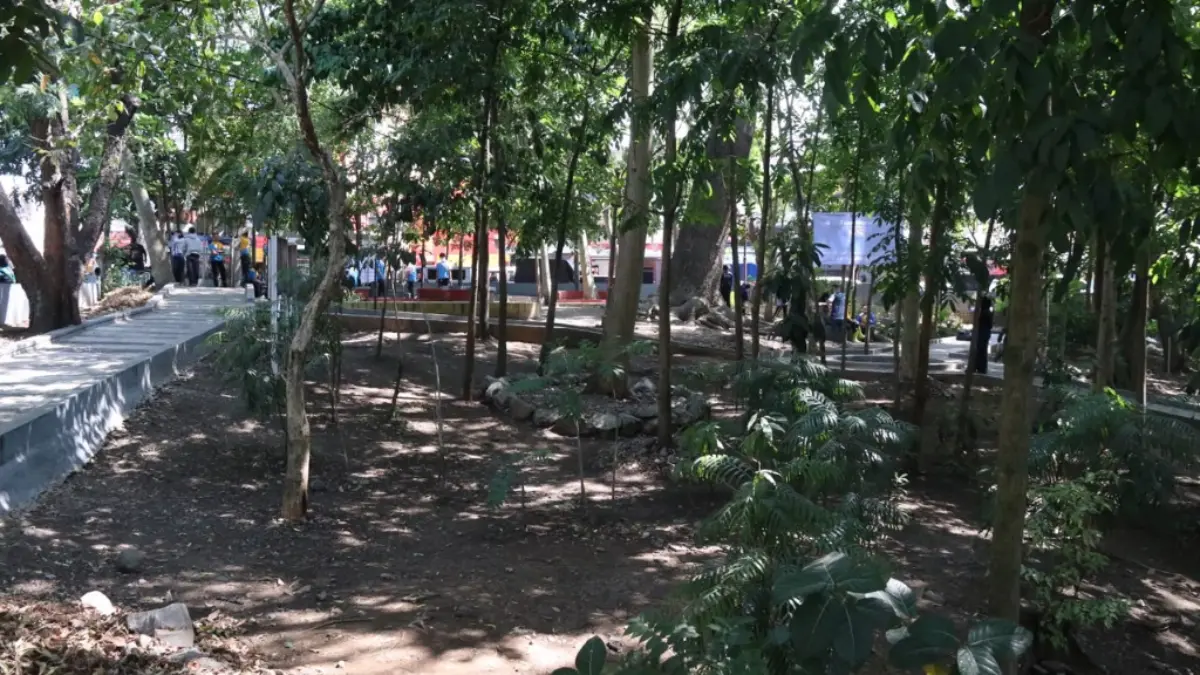Jaga Area Hijau, DLH Garut Patroli Hutan dan Taman Kota Taman kota
