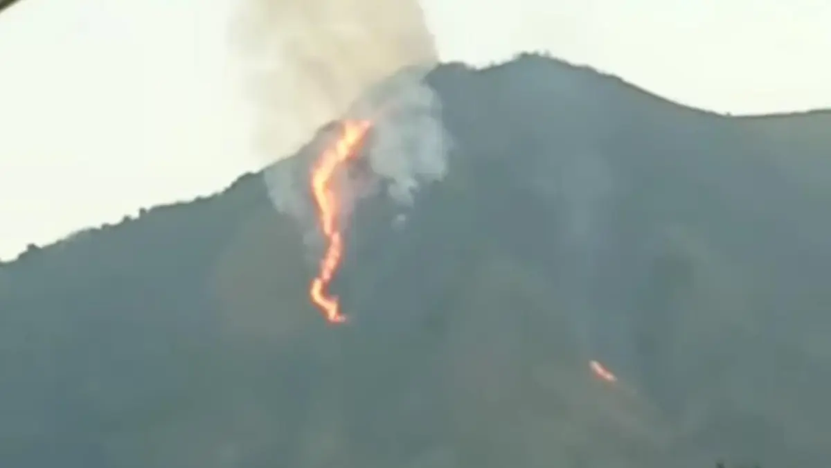 Gunung Guntur Garut Kembali Terbakar, Penyebabnya Masih Ditelusuri Kebakaran