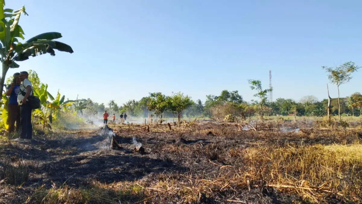 Enam Peristiwa Kebakaran Lahan Terjadi di Kota Banjar Kebakaran