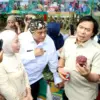 Gerakan Pangan Murah Kota Tasikmalaya