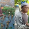 botol miras di sawah Tasikmalaya