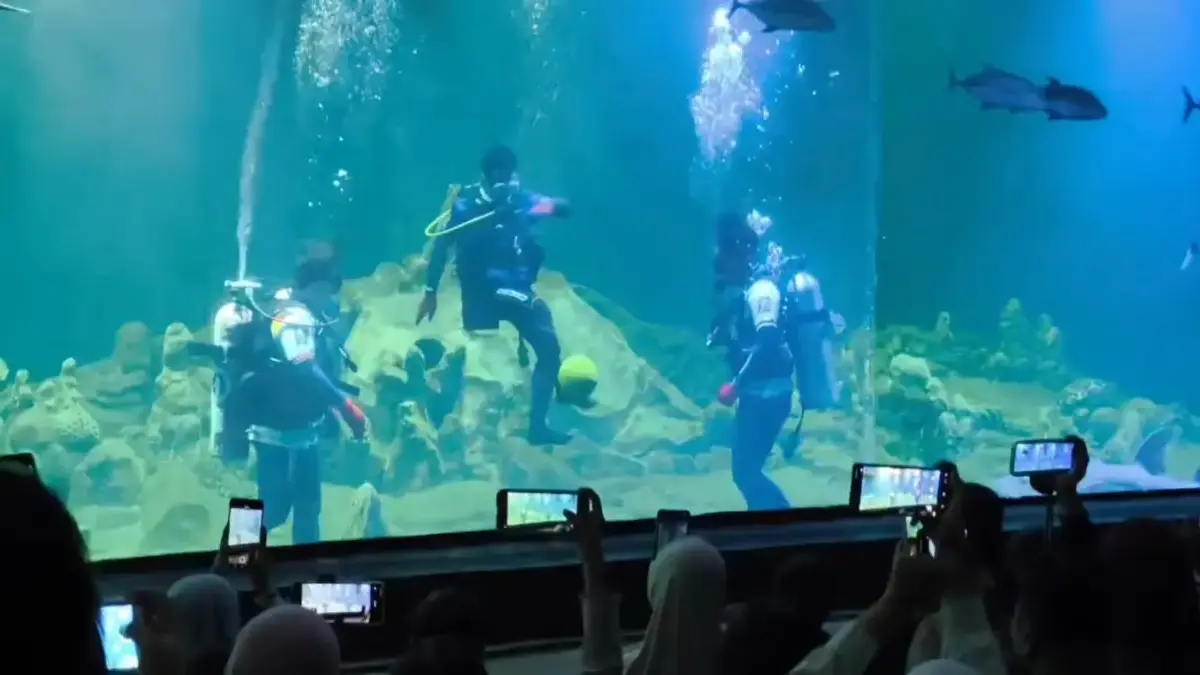 Pesta Bola di Bawah Laut! Wisata Edukasi Aquarium Indonesia Pangandaran Ramaikan Momen Piala Dunia aquarium indonesia pangandaran, piala dunia,