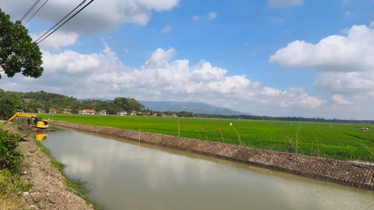 sawah subur, musim kemarau, banjir pangandaran