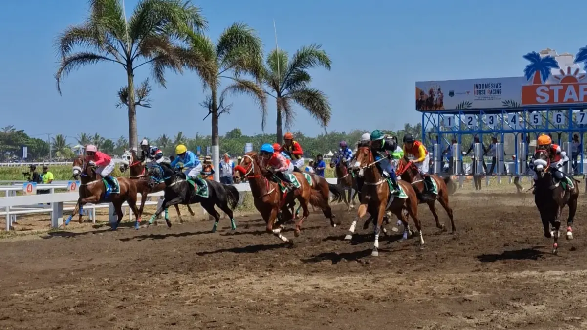 Aksi Ratusan Kuda Balap di Event IHR 2026 Jadi Hiburan Warga di Pangandaran indonesia\'s horse racing