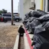 Sampah dishub diskominfo kota tasikmalaya
