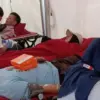 donor darah