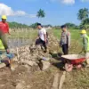 Irigasi cikunir
