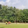 Piala Soeratin U-15