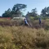 kebakaran lahan di singaparna