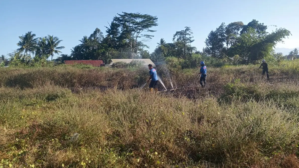 Lahan Kosong di Singaparna Tasikmalaya Kebakaran, Pemicunya ODGJ yang Membakar Sampah kebakaran lahan di singaparna