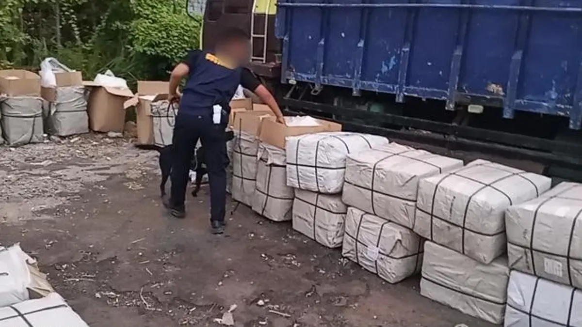 Bea Cukai dan BNN Gagalkan Penyelundupan 3,37 Ton Ganja Asal Thailand penyelundupan ganja dari thailand